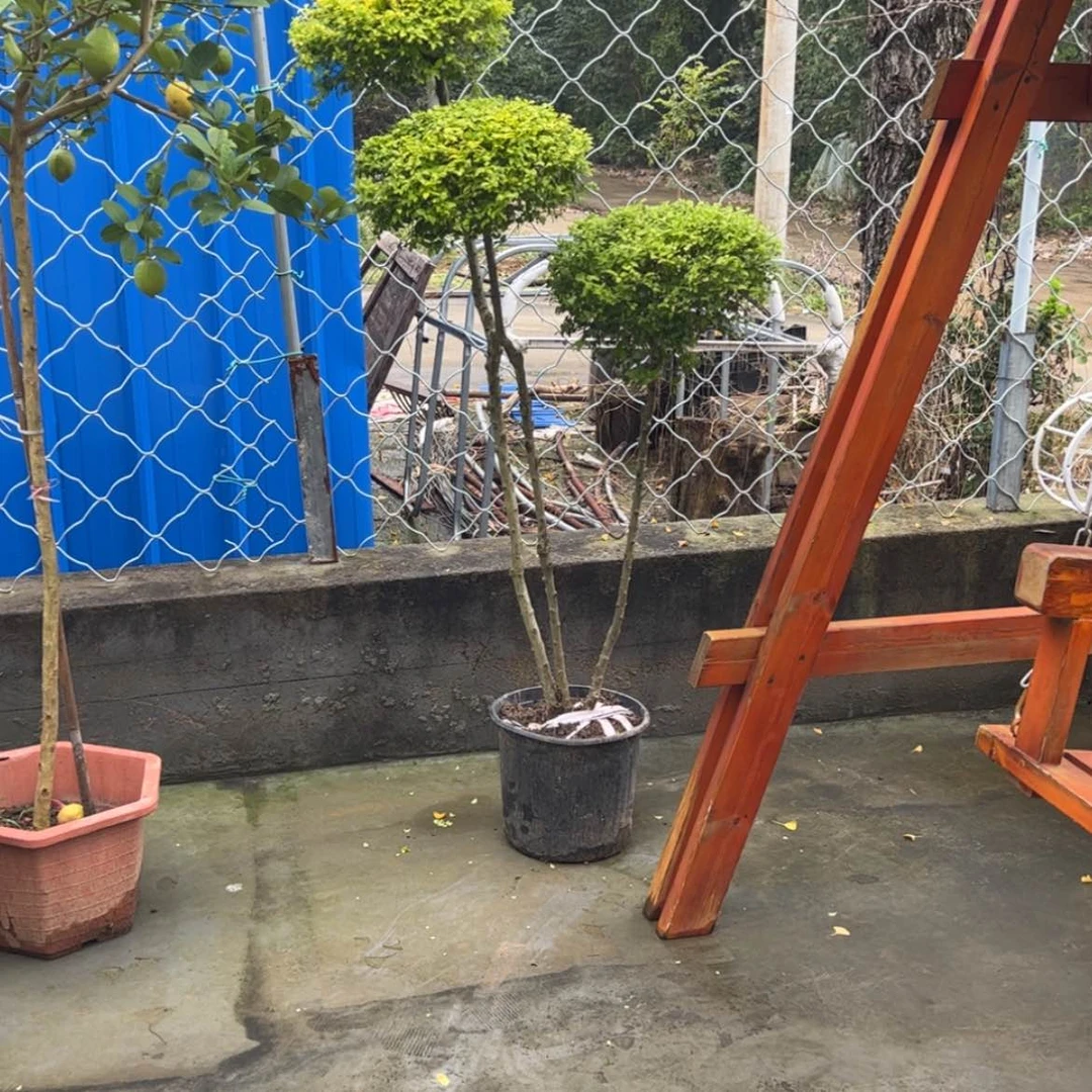 【闪购商品】完全开放江****团