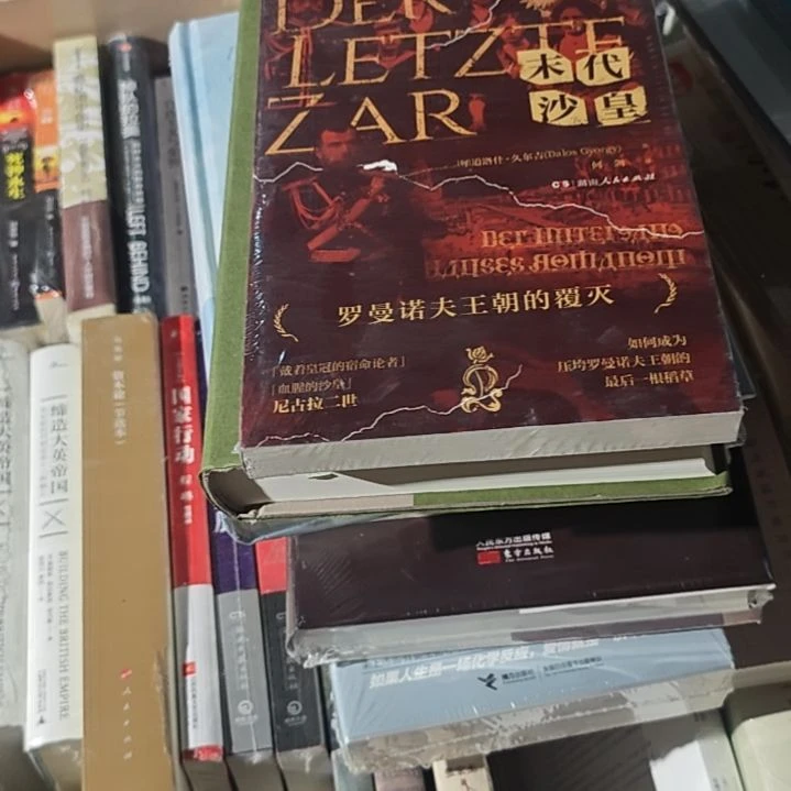 末代沙皇平装库存书