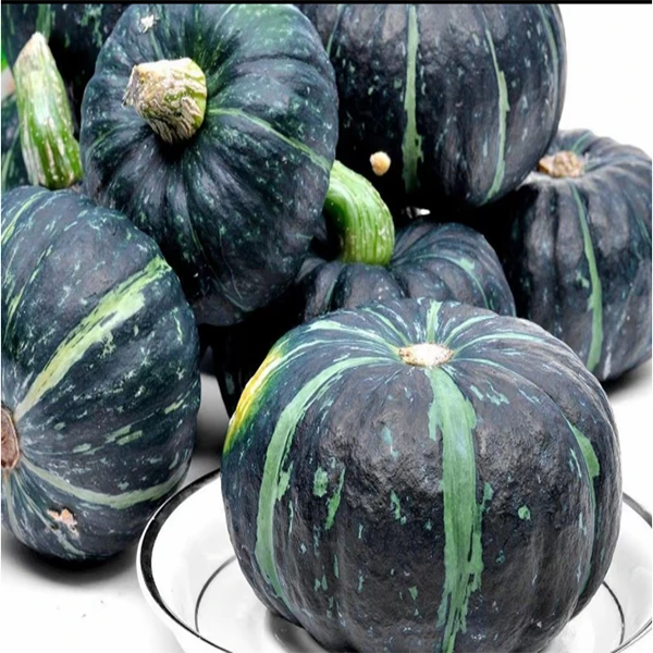 基地贝贝南瓜4斤左右/份南瓜同城送