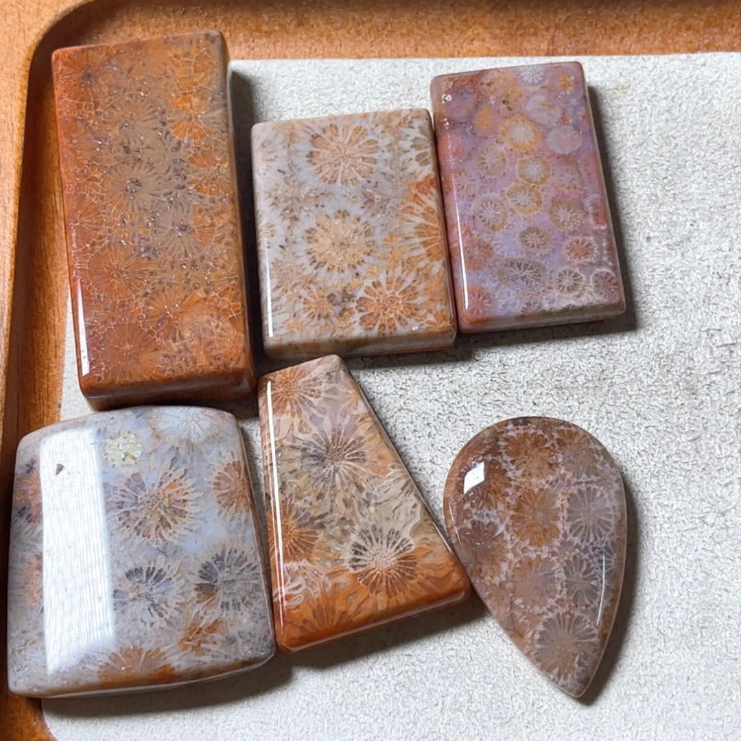 硅化珊瑚（珊瑚玉）吊坠未镶嵌