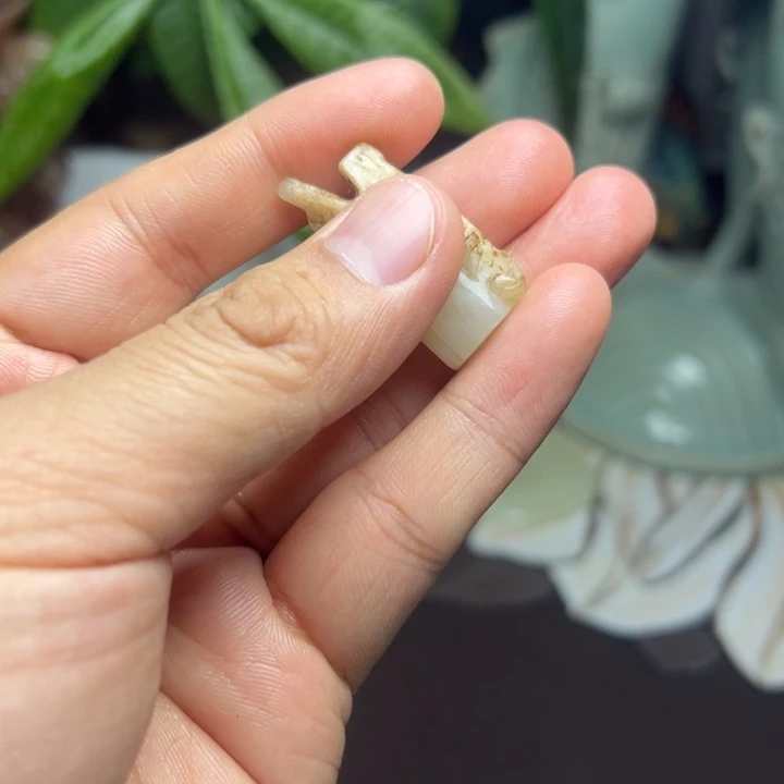 青花缠枝纹碗一号