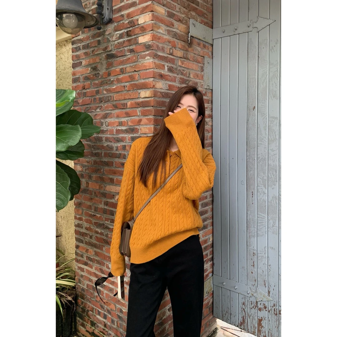 48H【小狗日记】腊肠狗刺绣粗麻花polo领毛衣女翻领针织上衣 25168