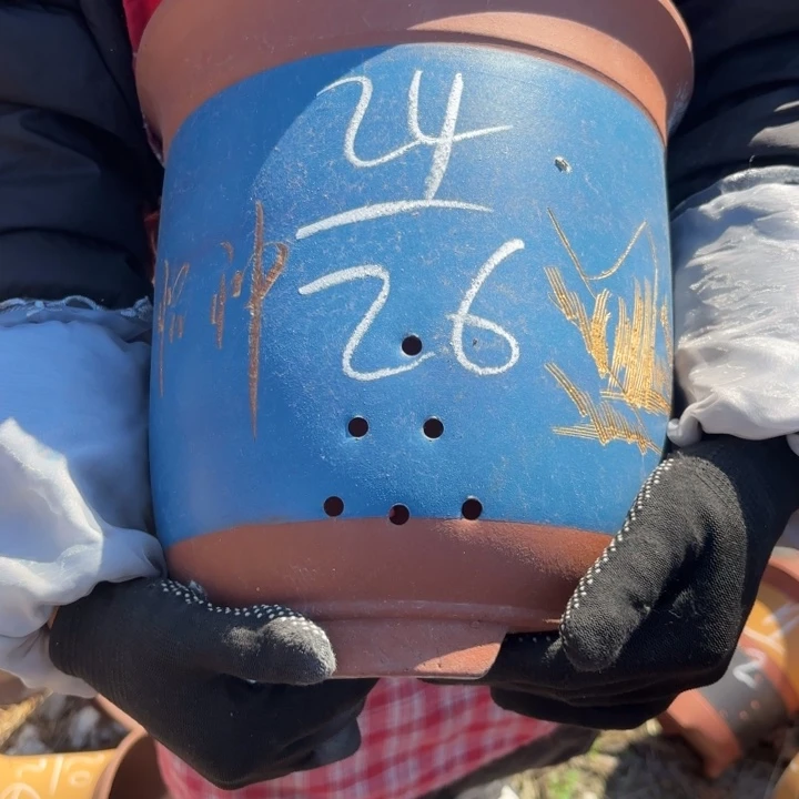 紫砂茶壶紫砂的颜色