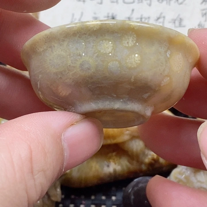 颈饰未镶嵌硅化珊瑚（珊瑚玉）