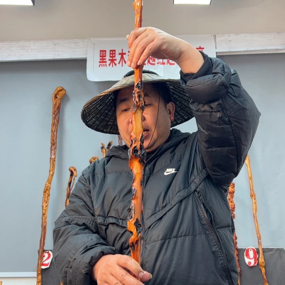 黑果木其他宏**里黑果木633