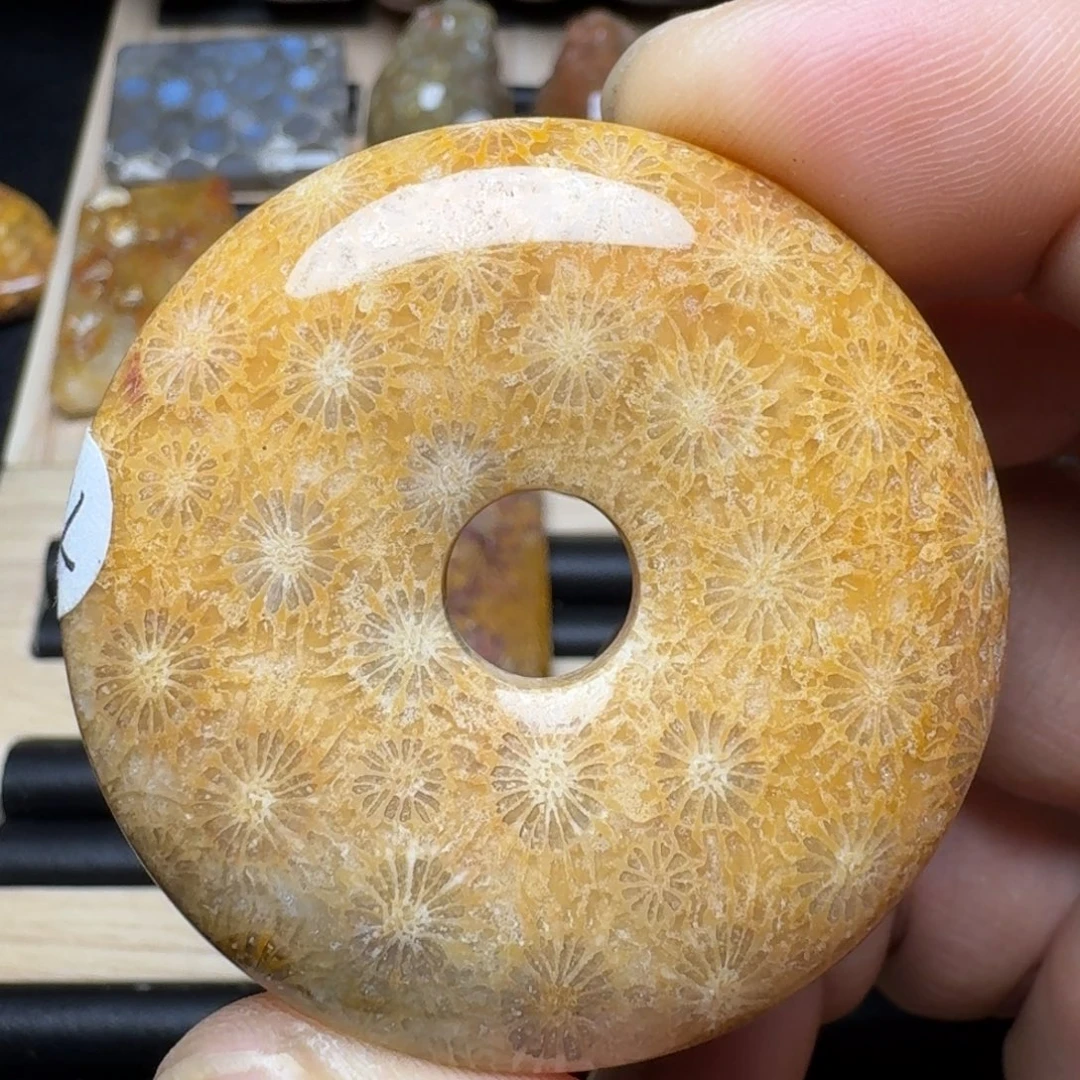 未镶嵌纯天然色有机玉石保真色硅化玉