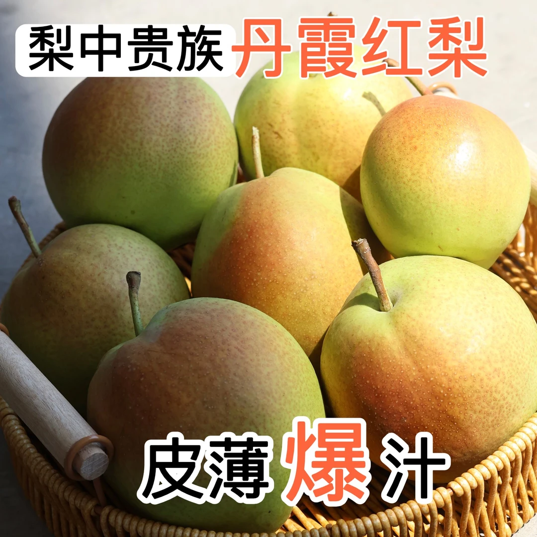 山西丹霞红梨现摘现发原产地直发应季新鲜多汁水果甘甜香酥爽口