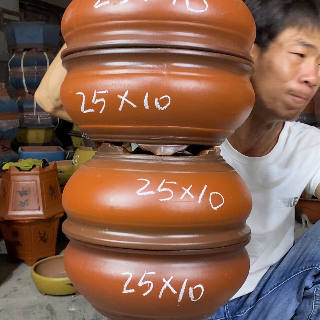 紫砂紫砂紫砂紫砂