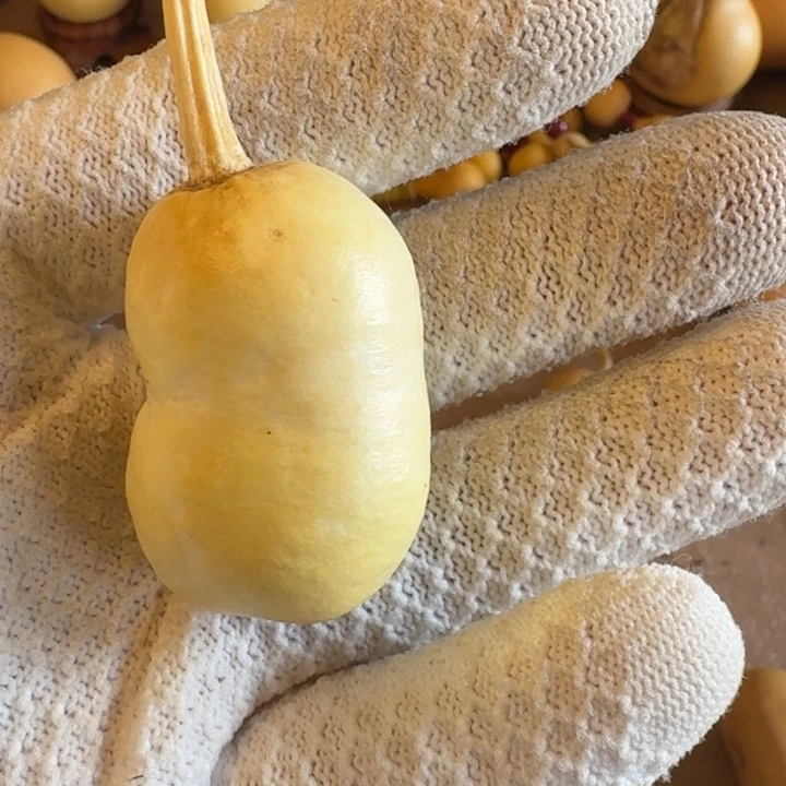 优***仔葫芦111111111111