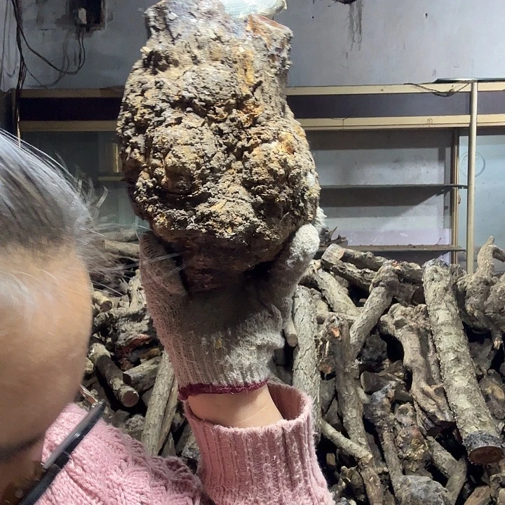 李***江香榧木火琉璃的故事是一