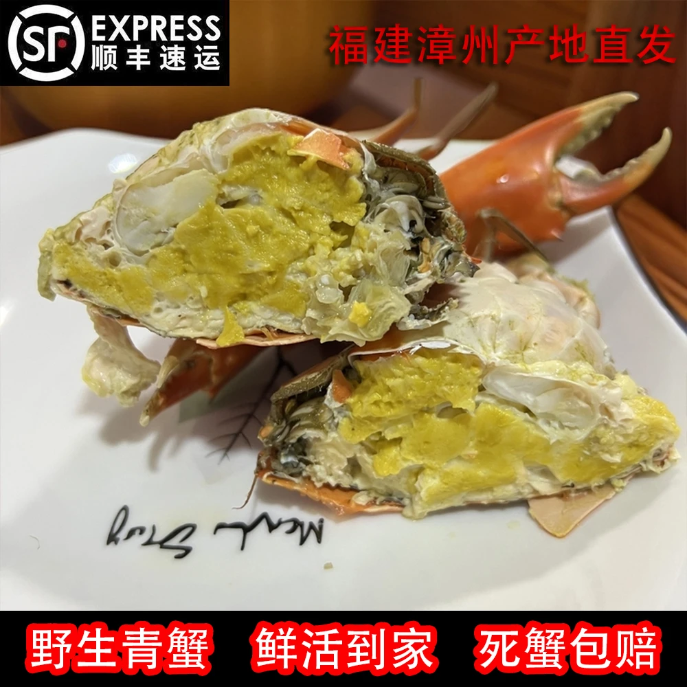 【活蟹】福建漳州本港青蟹 黄膏黑燕母蟹 包黄膏包活包肉到家
