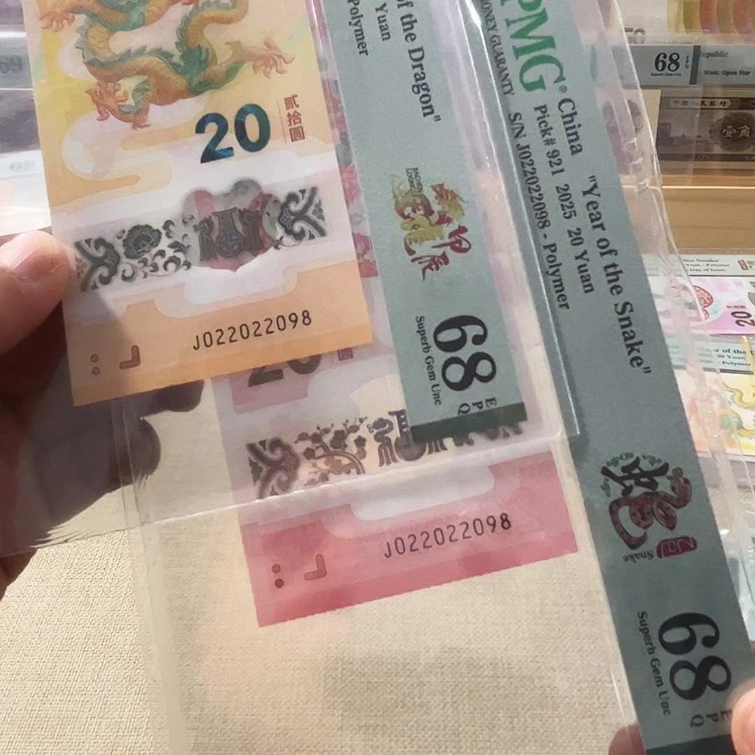 塑料龙蛇全同022022098