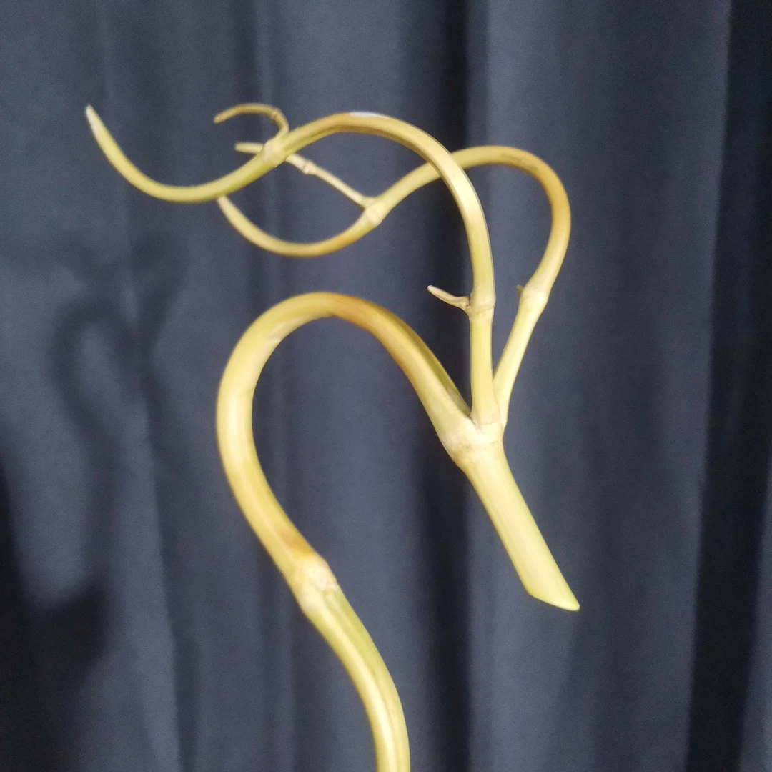 25公分以下可使用葫芦龙头