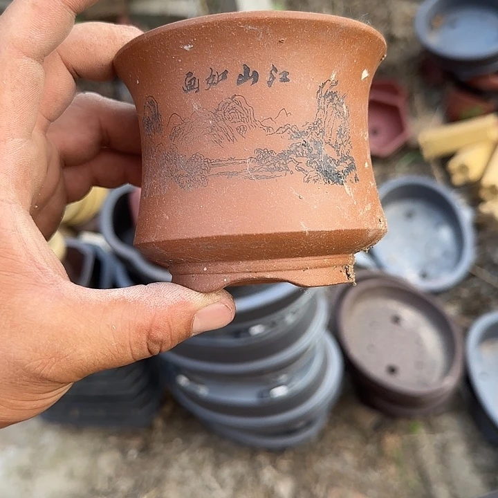 是的呀哈哈是这样哈哈不错