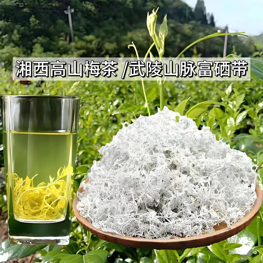 优【莓茶】高山新鲜采摘嫩叶新茶