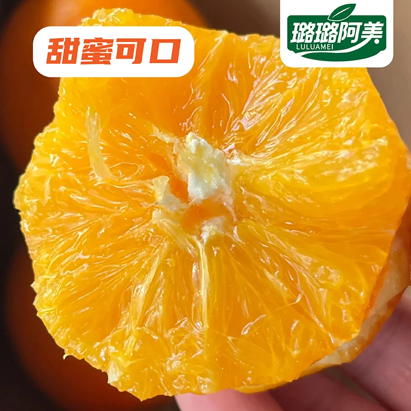 lx赣南脐橙正宗江西橙子新鲜应季水果孕妇爆甜多汁现摘现发香甜