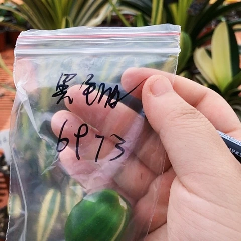 【闪购商品】用****2