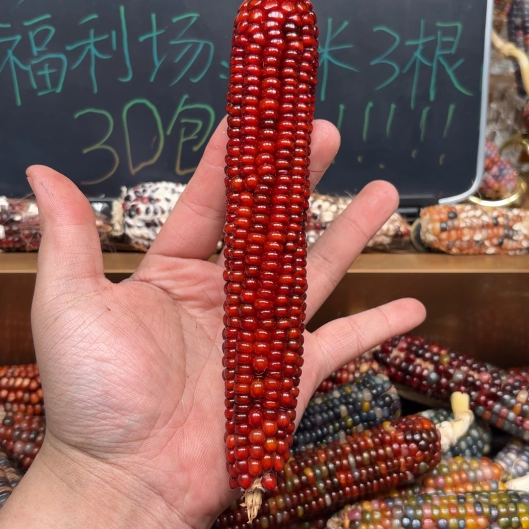 柏香籽/百香籽吊坠l*n