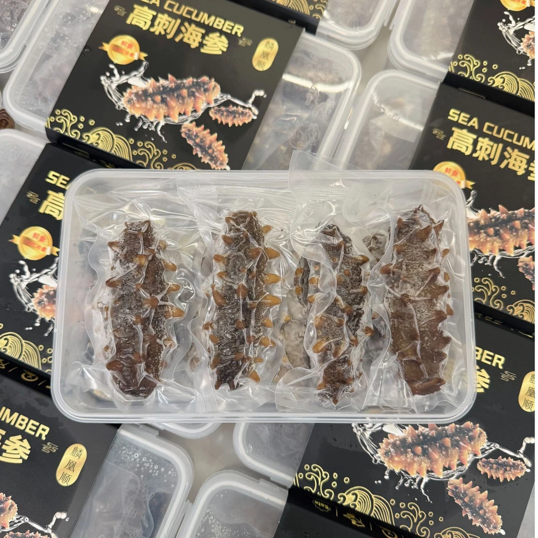 【大连深海高刺】 顺丰发货  鲜食海参 大连高刺参 特级海参