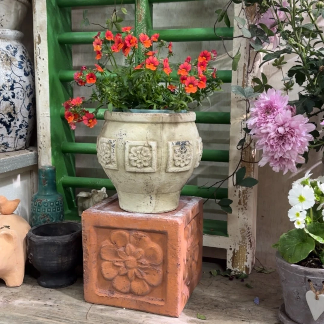 许纯的花房 四方花复古白罐子