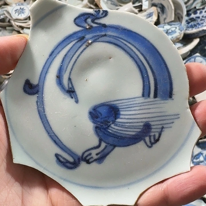 游***鹤瓷片瓷片标本，顺丰包邮