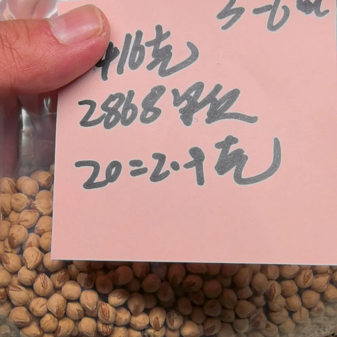 子***上柏香籽/百香籽手串