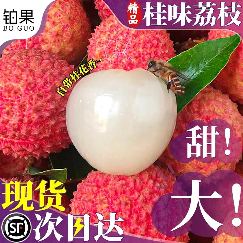 高端品种 3/5斤广东桂味荔枝新鲜水果礼盒白糖现摘增孕妇城整箱