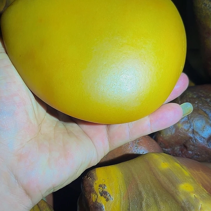 神***嗑老挝石黄蜡石传说