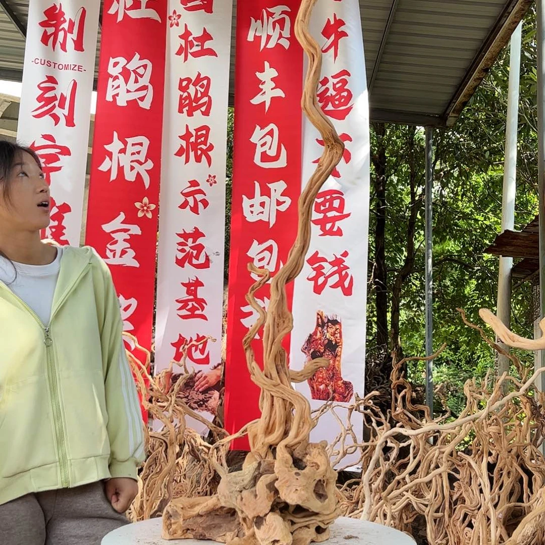 红***头木我们的生活方式是