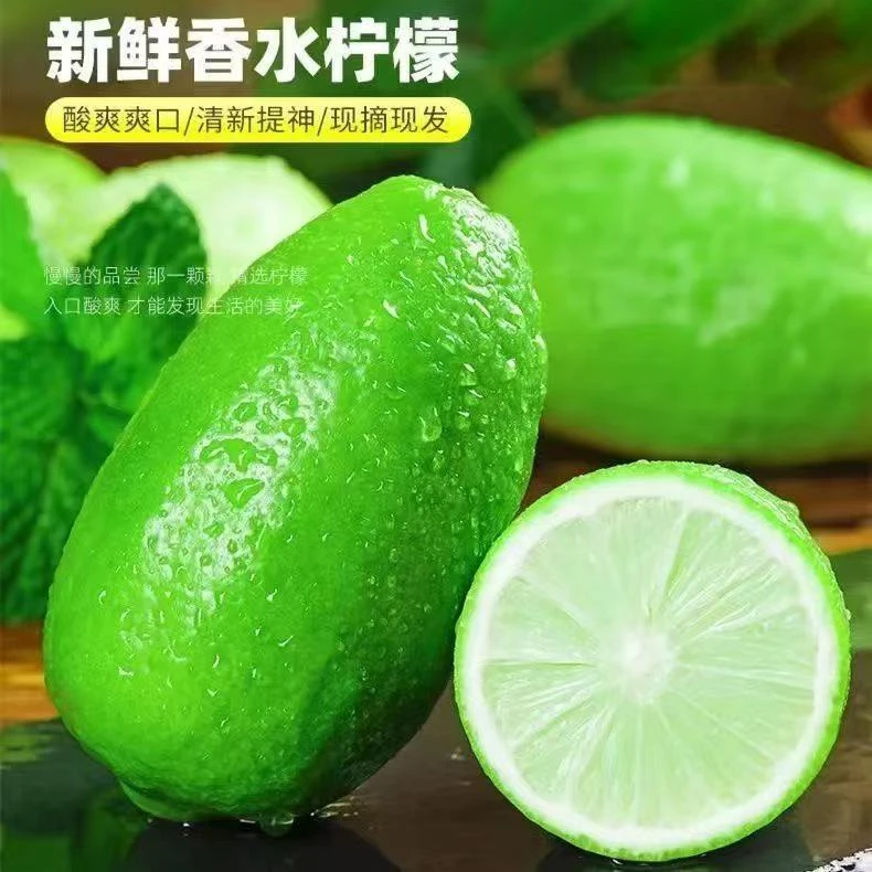 新鲜无籽香水柠檬奶茶伴侣酸柠檬