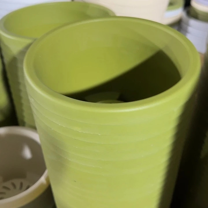 球根1号果绿无托6个