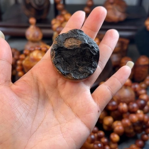 无事牌松木（琥珀木）