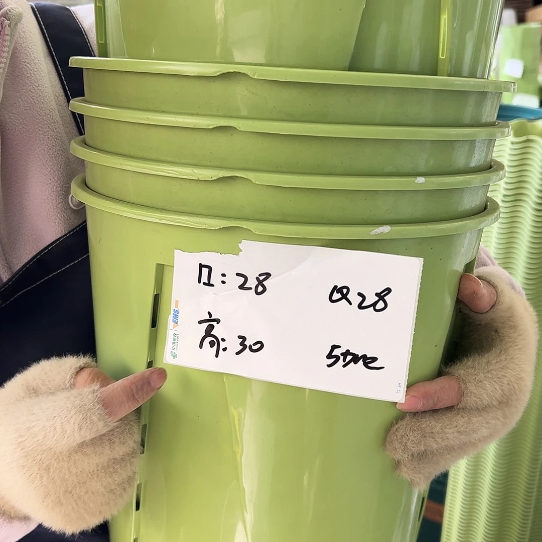 瑕疵Q28#果绿色5个无托