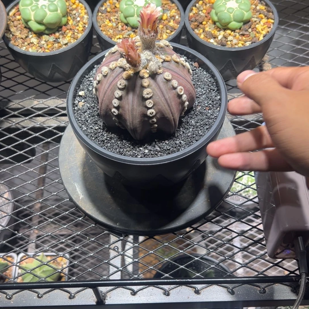 苍***陈111111111111111111