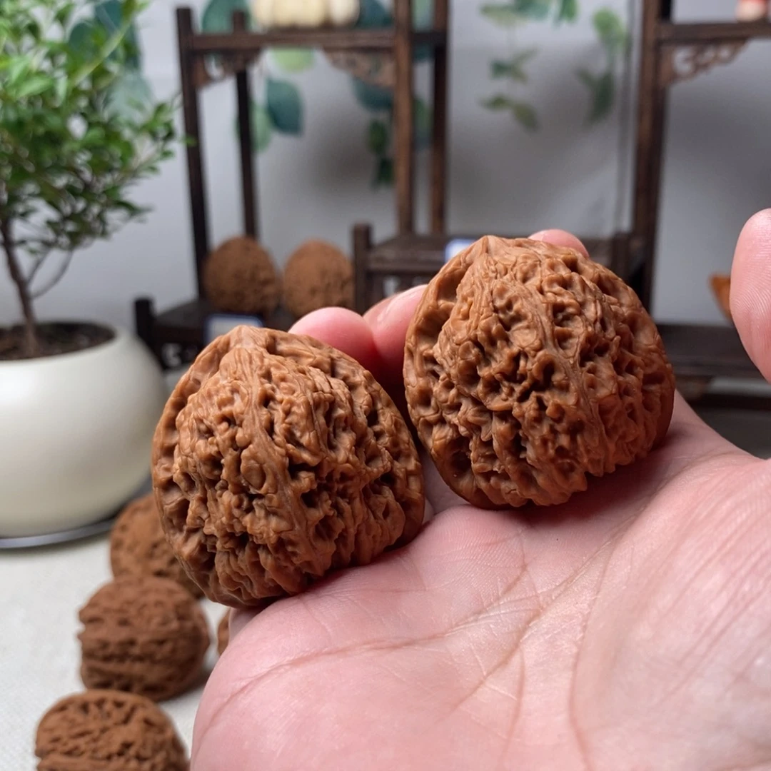 文玩核桃把件A*E中状