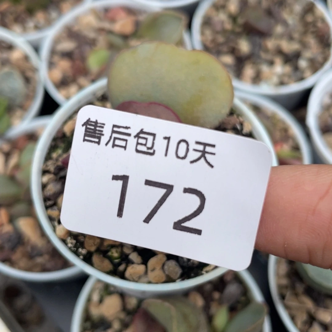 福利。  福利。