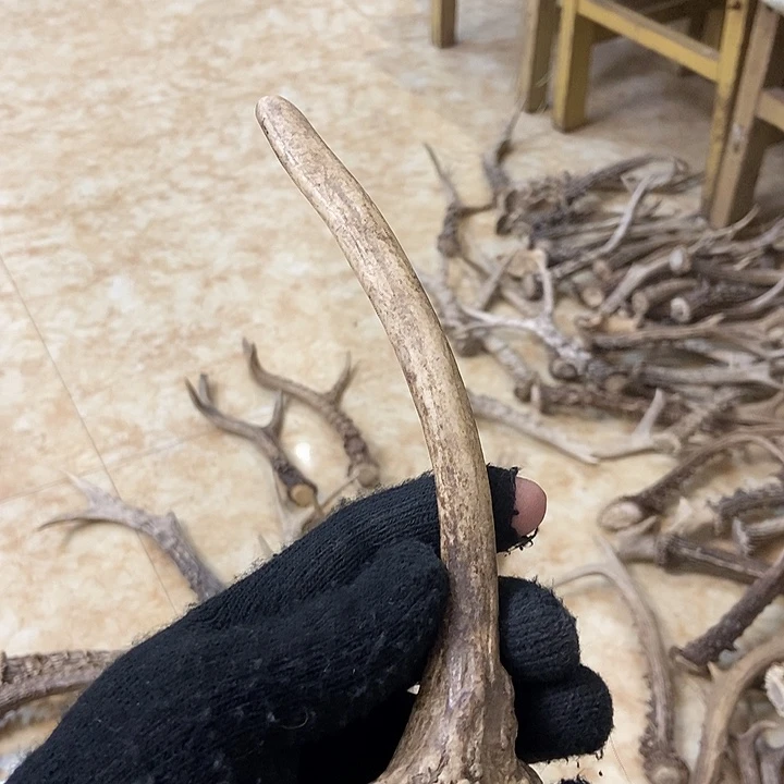 风***堇大叶紫檀（黑酸枝木类）