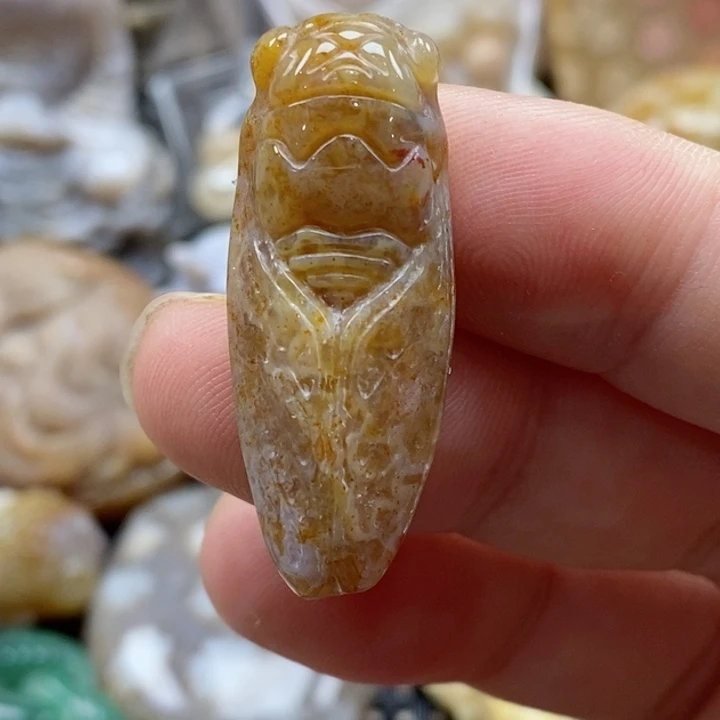硅化珊瑚(珊瑚玉)颈饰未镶嵌小吊坠