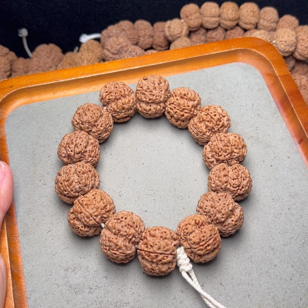 菩提14号金刚菩提安娜梅花深沟25.5/26