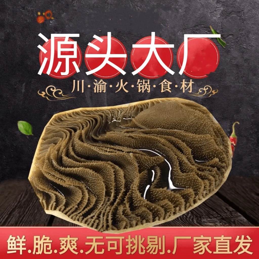 3斤毛肚大叶百叶新鲜重庆火锅凉 固形物含量80%以上