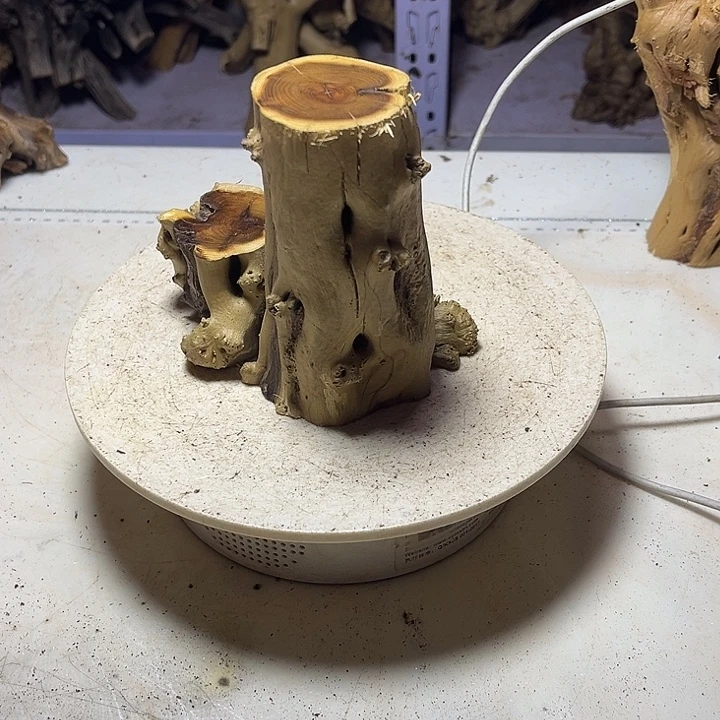 香榧木发信息给我嘛我好