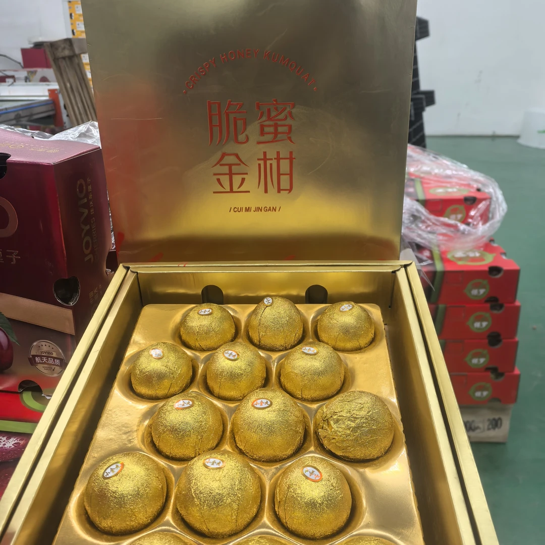 【果然好】正宗大果脆蜜金柑融安当季水果金桔鲜果金橘水果包邮到家