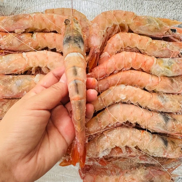 野生桃红虾2030规格新货气冻锁鲜净重4斤