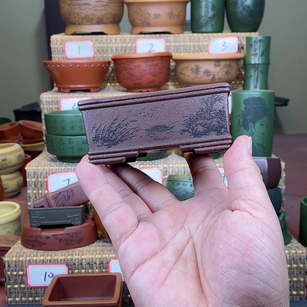 紫砂花盆我在等一