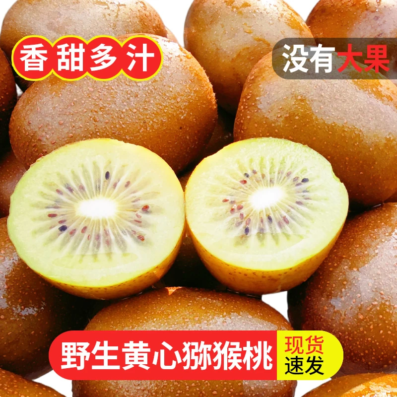 野生正宗黄心猕猴桃新鲜包邮现货果园直发2斤硬果发货坏果包赔