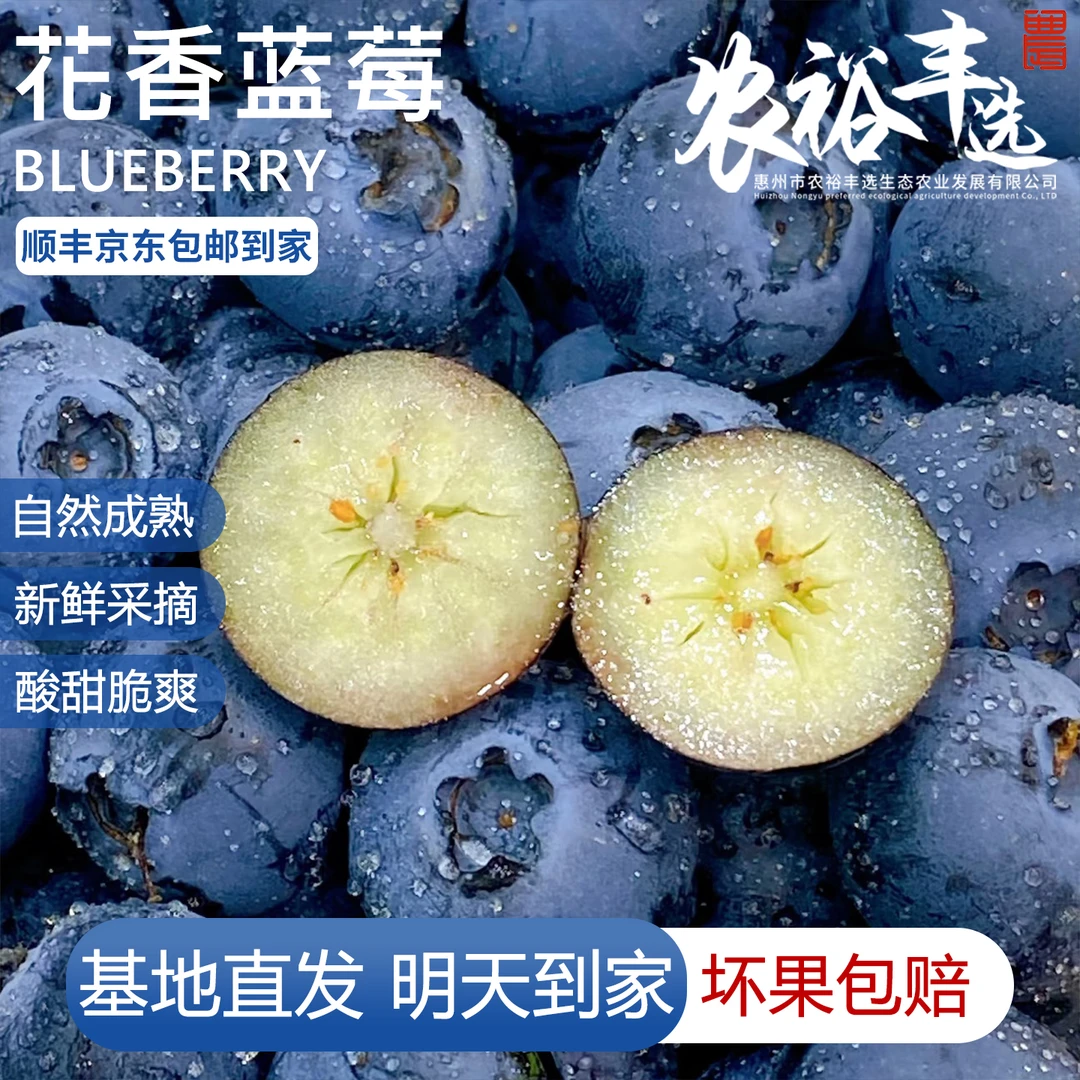 明日达【精品大果18mm+】6盒花香蓝莓高山鲜果花青素酸甜爆汁广东现摘现发18-20mm100g/盒广东省