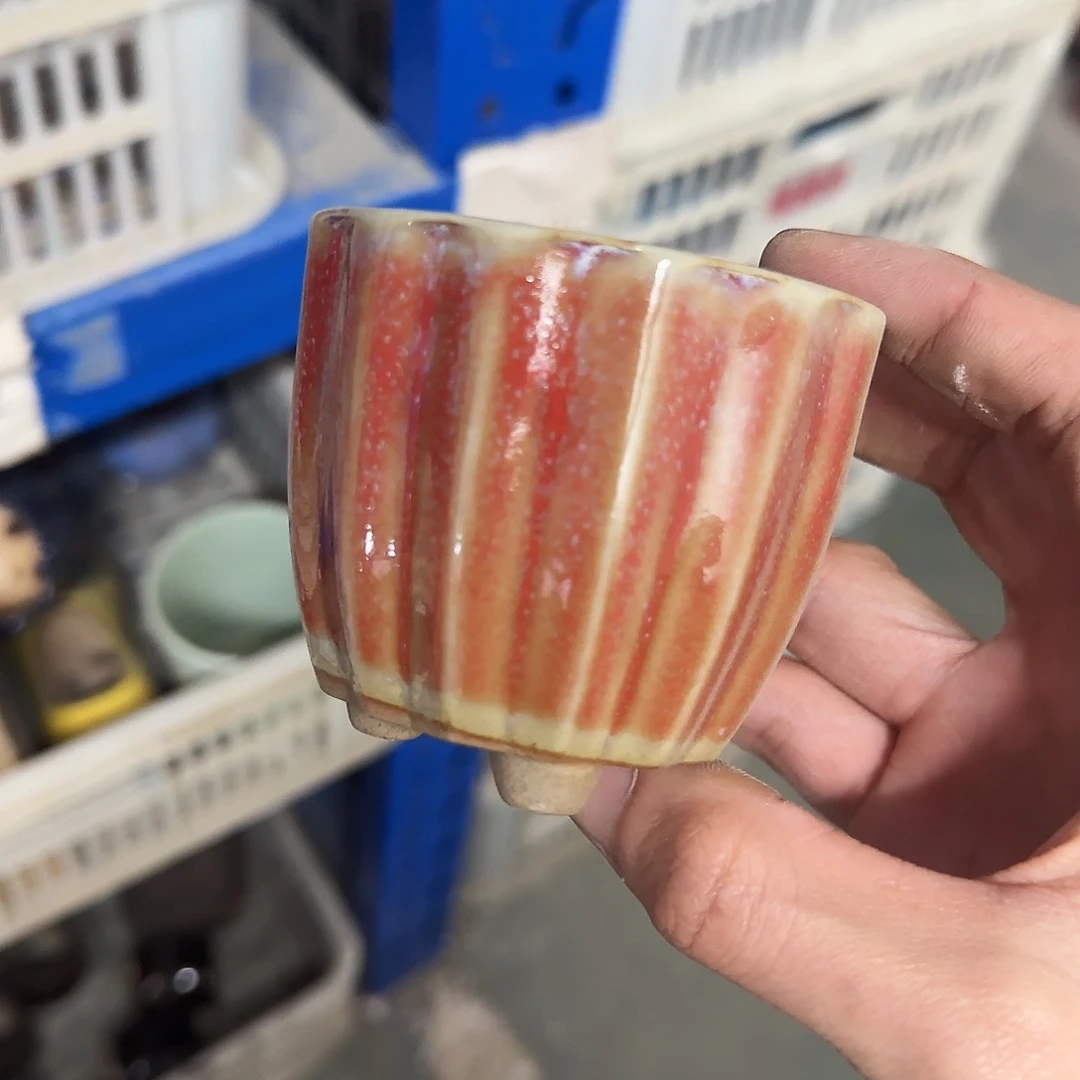 福利局绿植多肉盆［凑9元包邮24小时发］1072