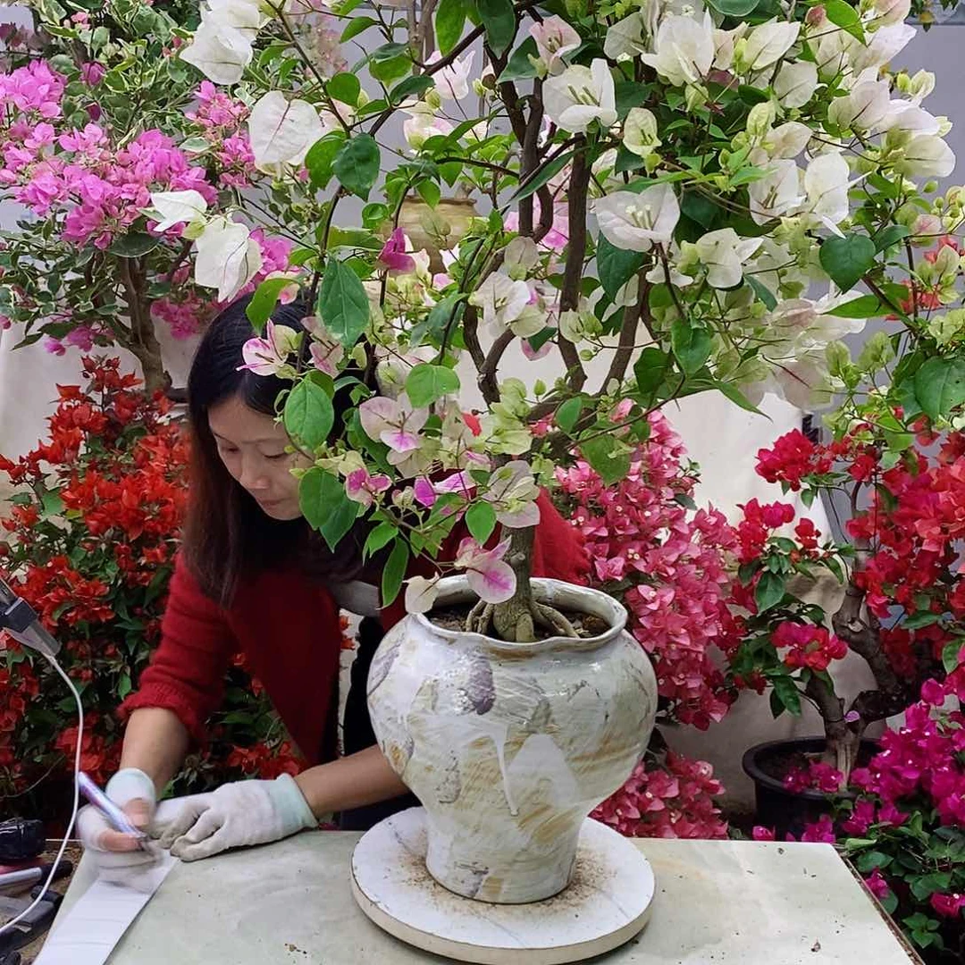完全开放我要好好学习