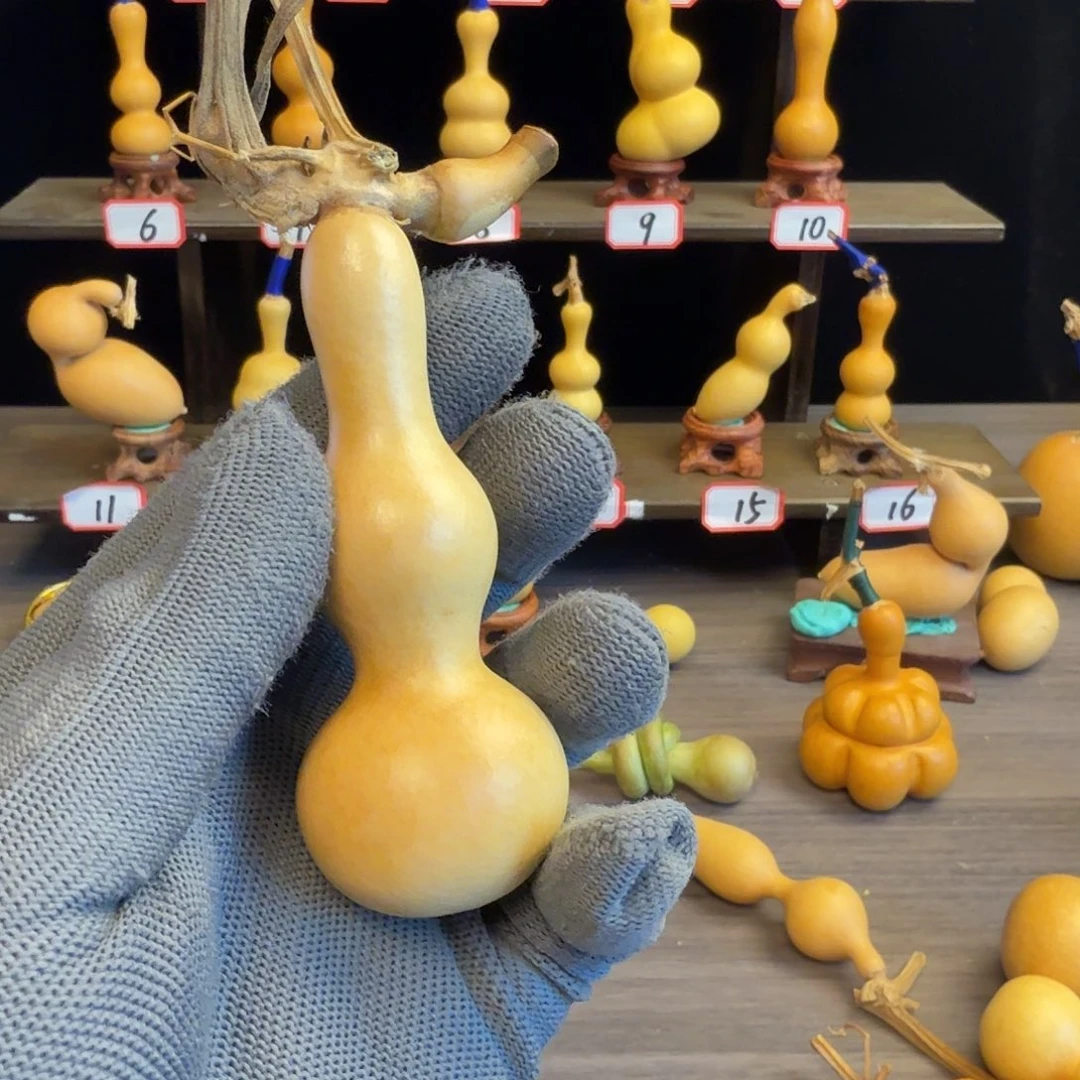 彭***林木这个时候应该可以