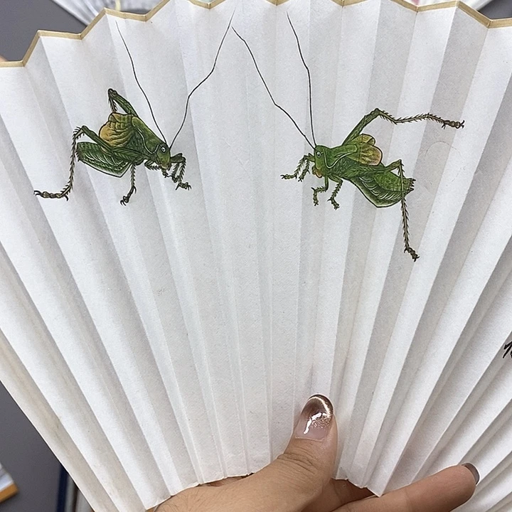扇子玉竹…玉竹…玉竹…玉竹